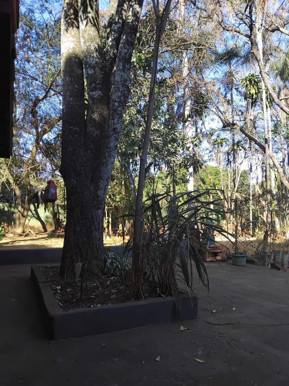 Sitio Bemtevi - Jockey Camping - Uberlandia Villa ภายนอก รูปภาพ