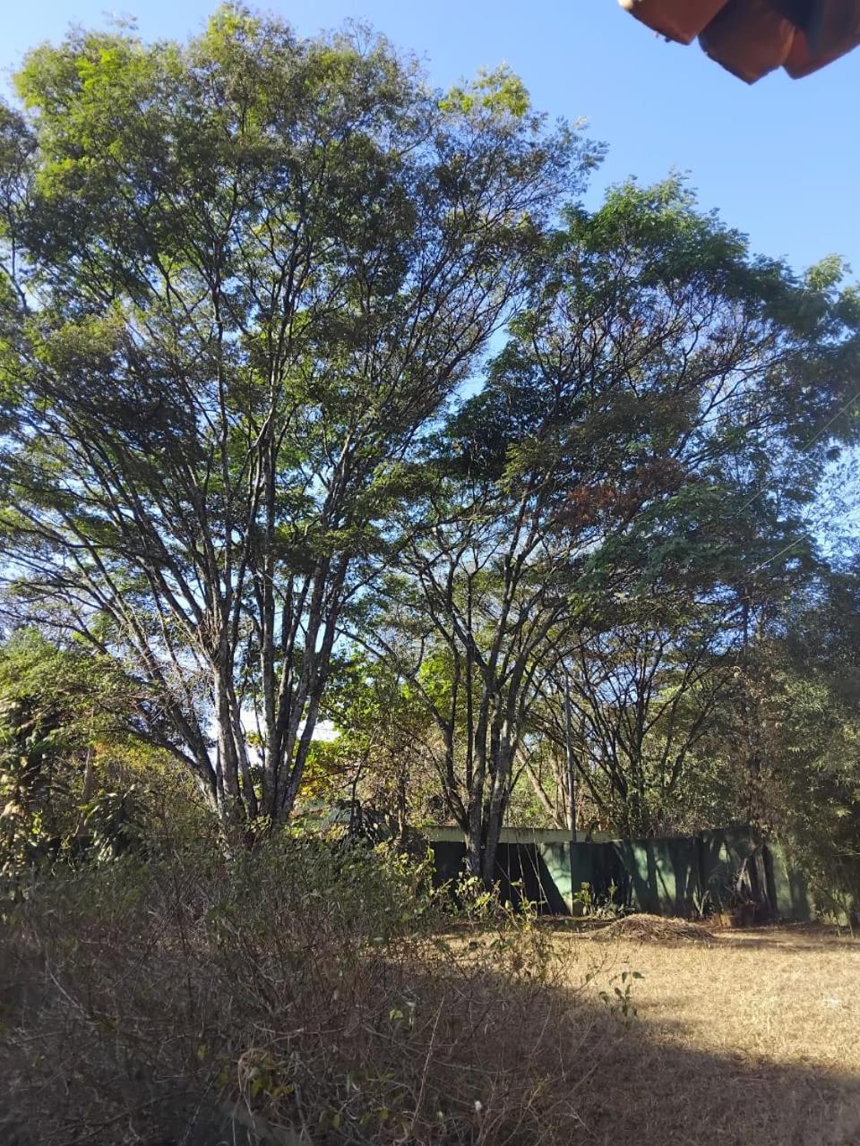 Sitio Bemtevi - Jockey Camping - Uberlandia Villa ภายนอก รูปภาพ